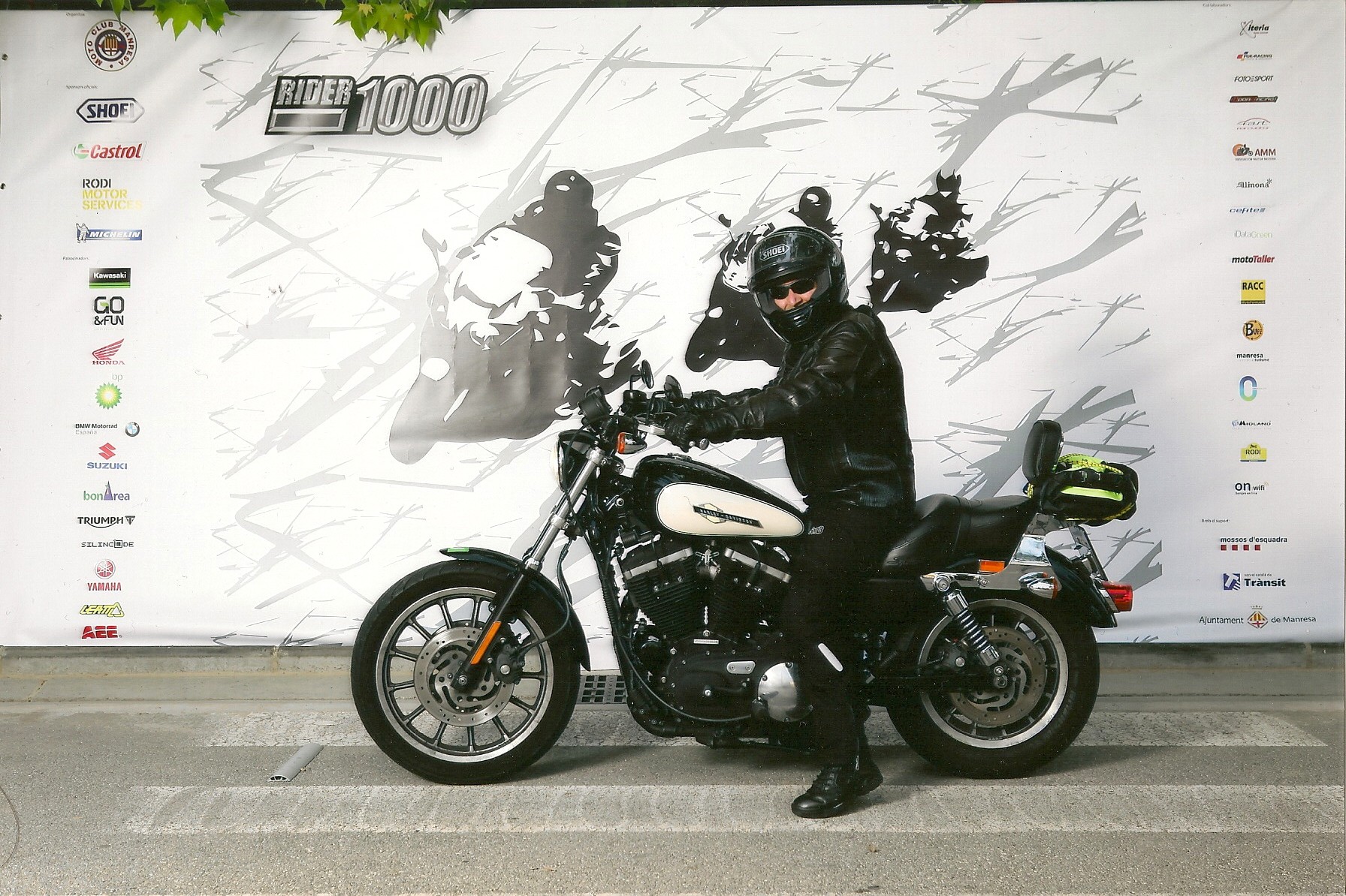 Rider2014.jpg